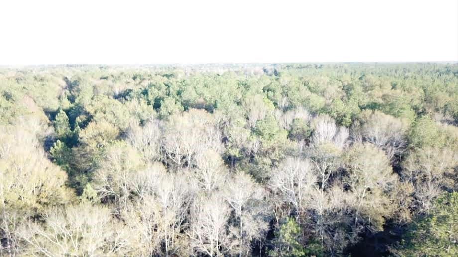 76555 Wilson Road Kentwood, LA 70444 - Photo 3 of 38