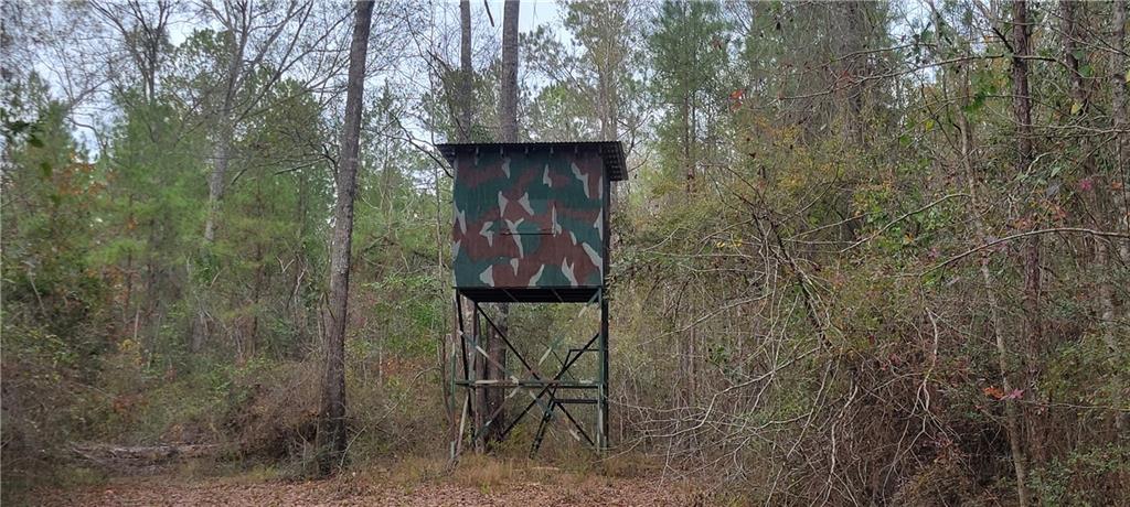 76555 Wilson Road Kentwood, LA 70444 - Photo 37 of 38