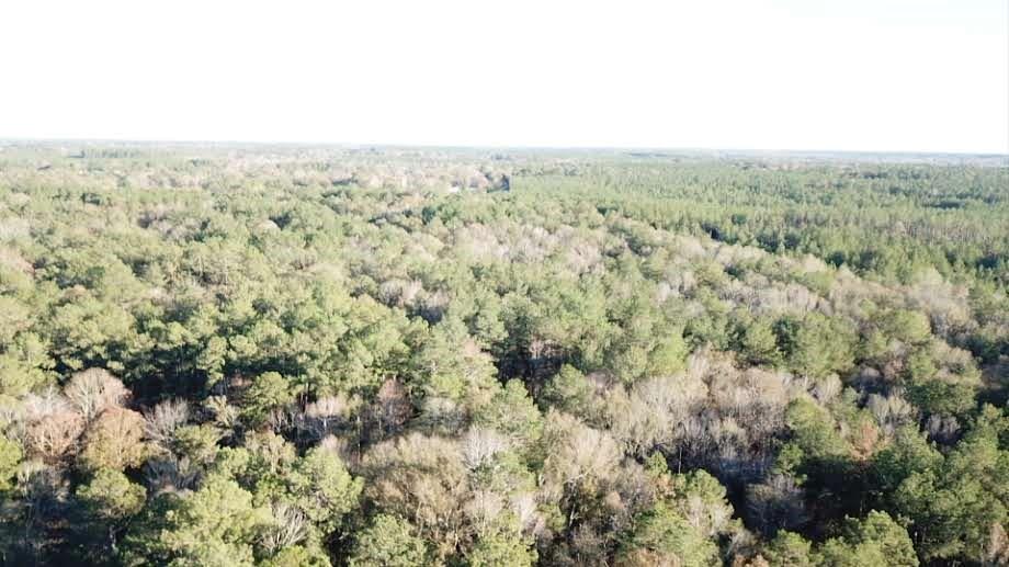 76555 Wilson Road Kentwood, LA 70444 - Photo 38 of 38