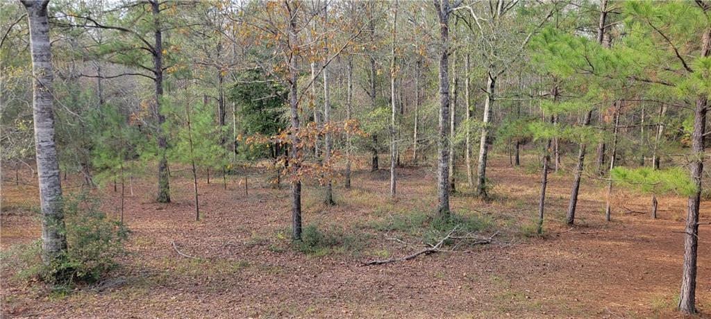 76555 Wilson Road Kentwood, LA 70444 - Photo 5 of 38