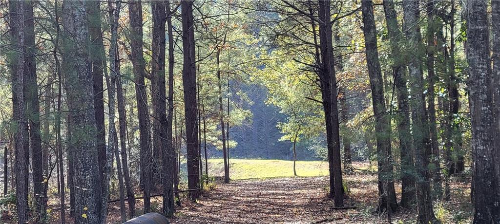 76555 Wilson Road Kentwood, LA 70444 - Photo 6 of 38