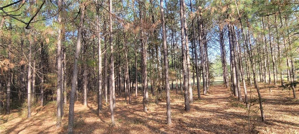 76555 Wilson Road Kentwood, LA 70444 - Photo 7 of 38