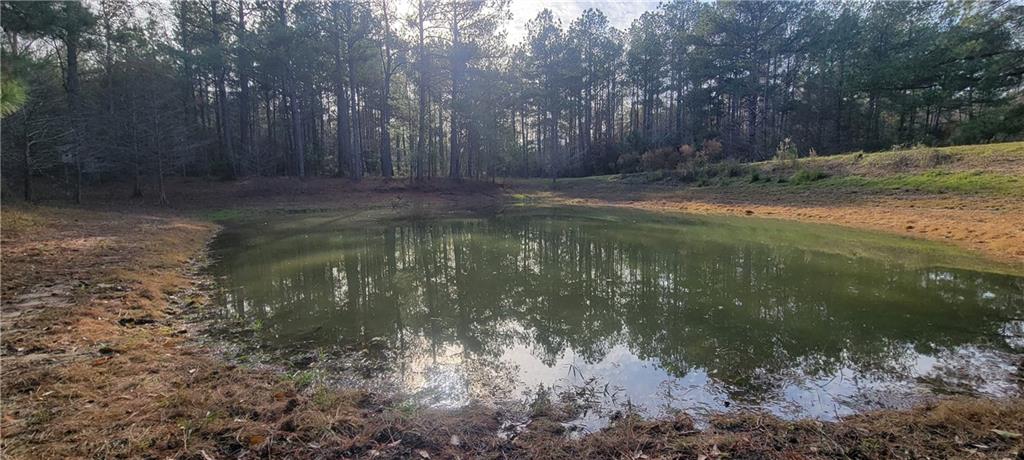 76555 Wilson Road Kentwood, LA 70444 - Photo 10 of 38