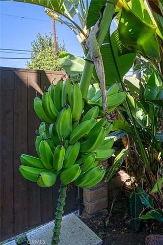 $4,000 | 1244 North Las Palmas Avenue, Los Angeles, CA 90038