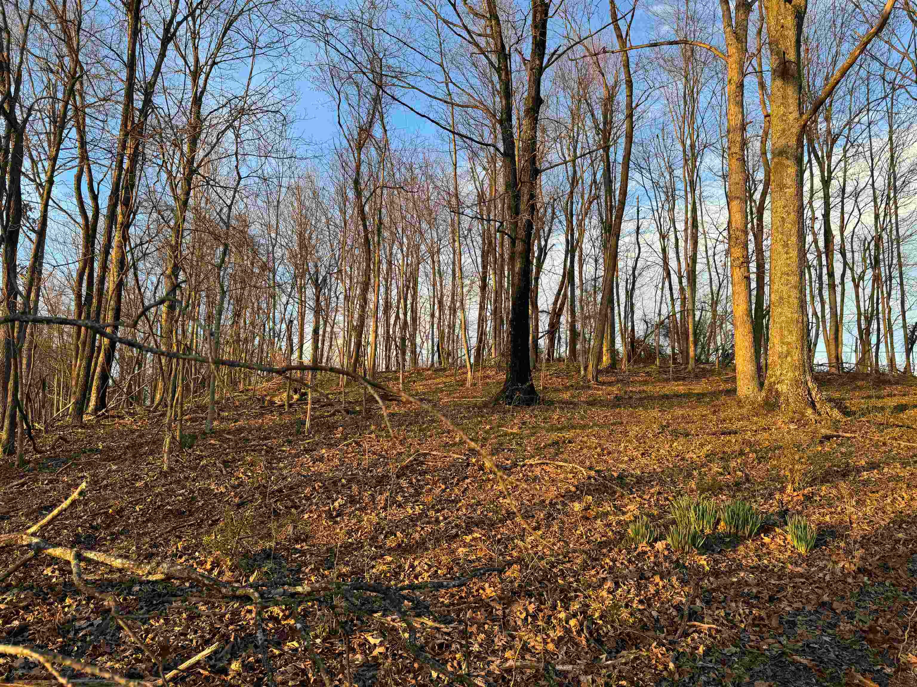 0 Co Road Proctorville, OH 45669 - Photo 3 of 27 Gallery Image 3