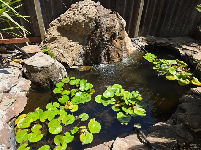 a picture of flowers