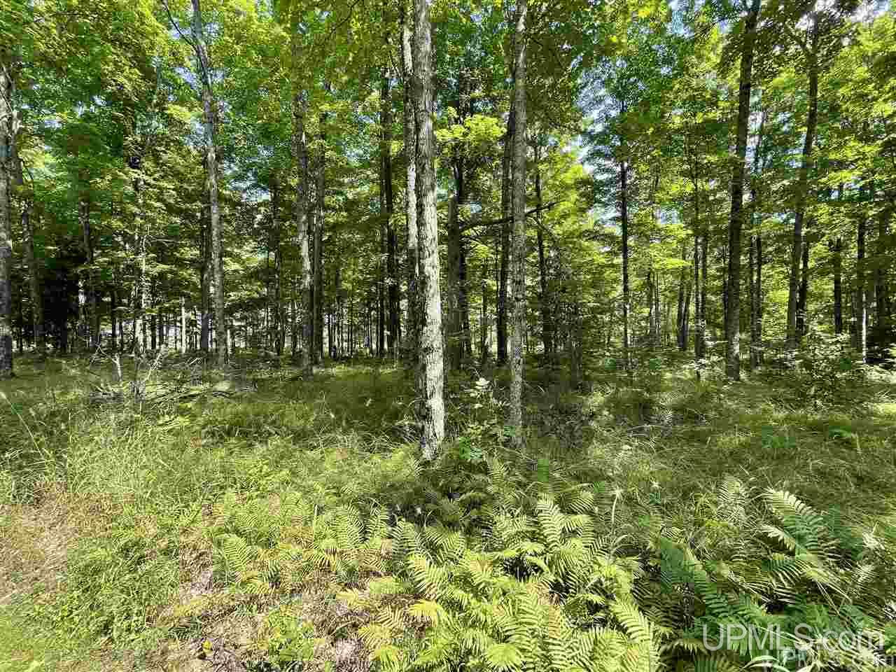 Tbd Sand Road, Unit 2 Powers, MI 49874 - Photo 20 of 38