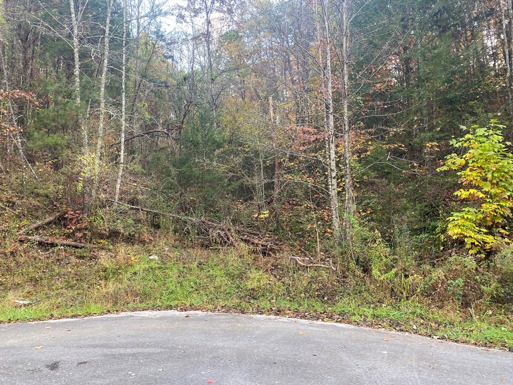 0 Maples Branch Road Sevierville, TN 37876 - Photo 3 of 9