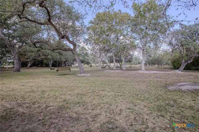 a view of dirt field with large trees