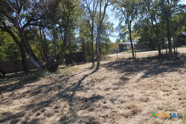 a view of a yard with trees
