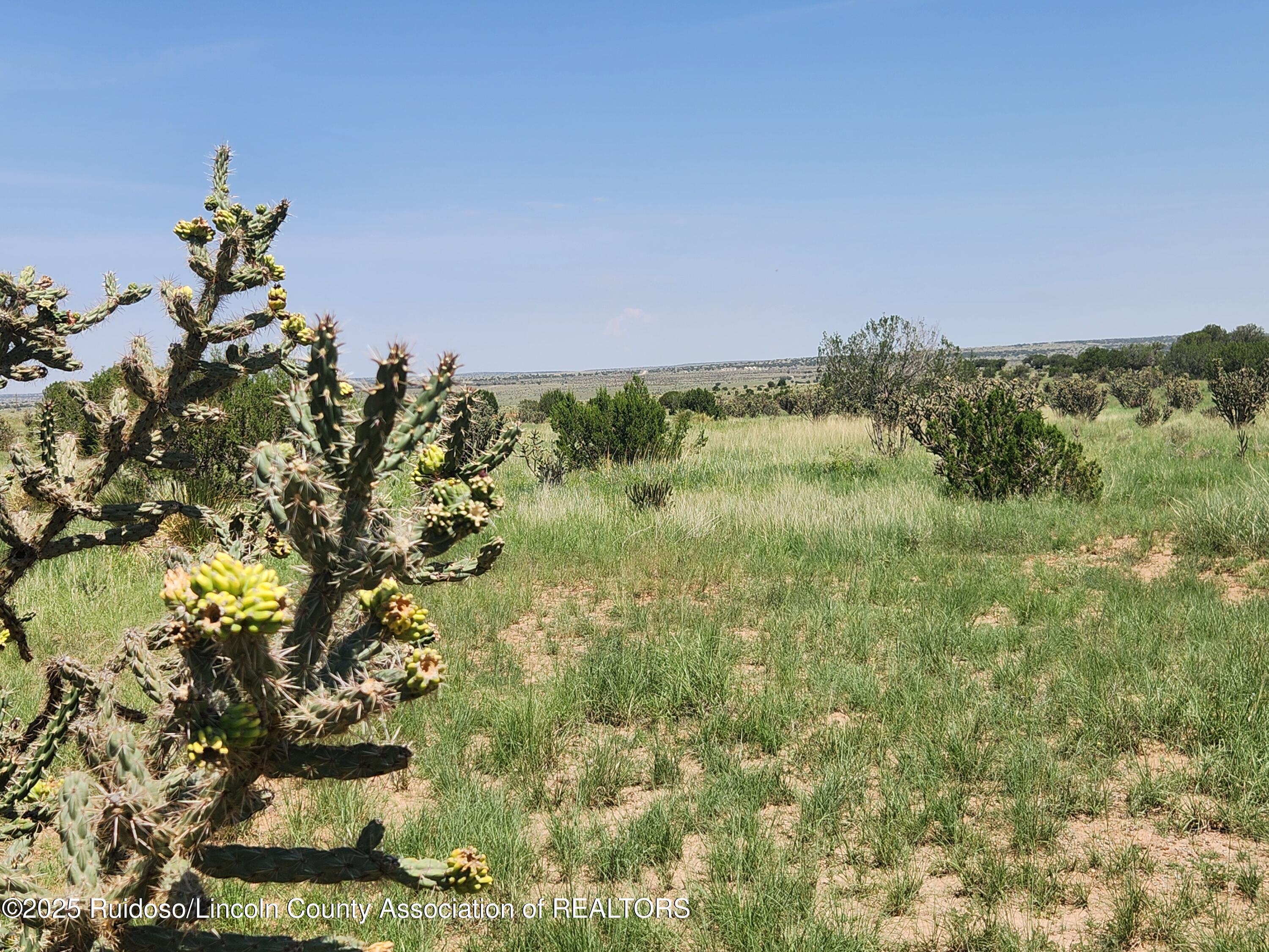 312 Windmill Road Carrizozo, NM 88301 - Photo 56 of 70 Gallery Image 56