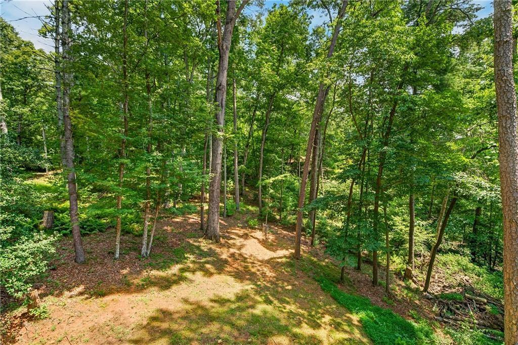 649 Power Dam Road Blue Ridge, GA 30513 - Photo 35 of 35 Gallery Image 35