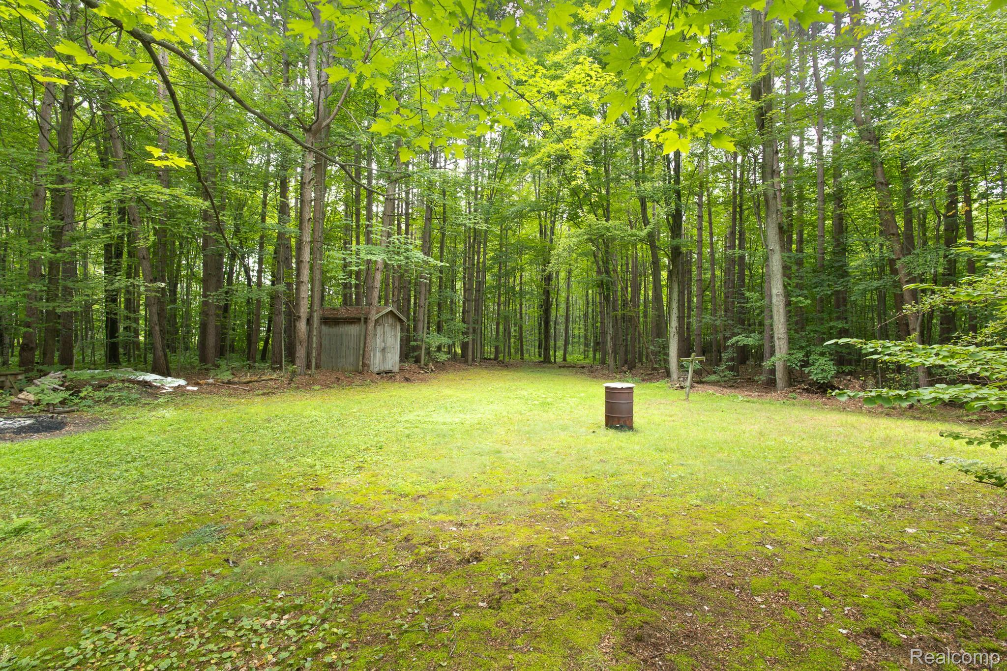 7800 Oak Road Millington, MI 48746 - Photo 6 of 32 Expansive grassy area surrounded by mature trees, featuring a detached wooden shed