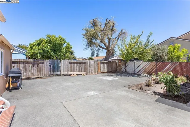 a view of a backyard with large tree and wooden fence