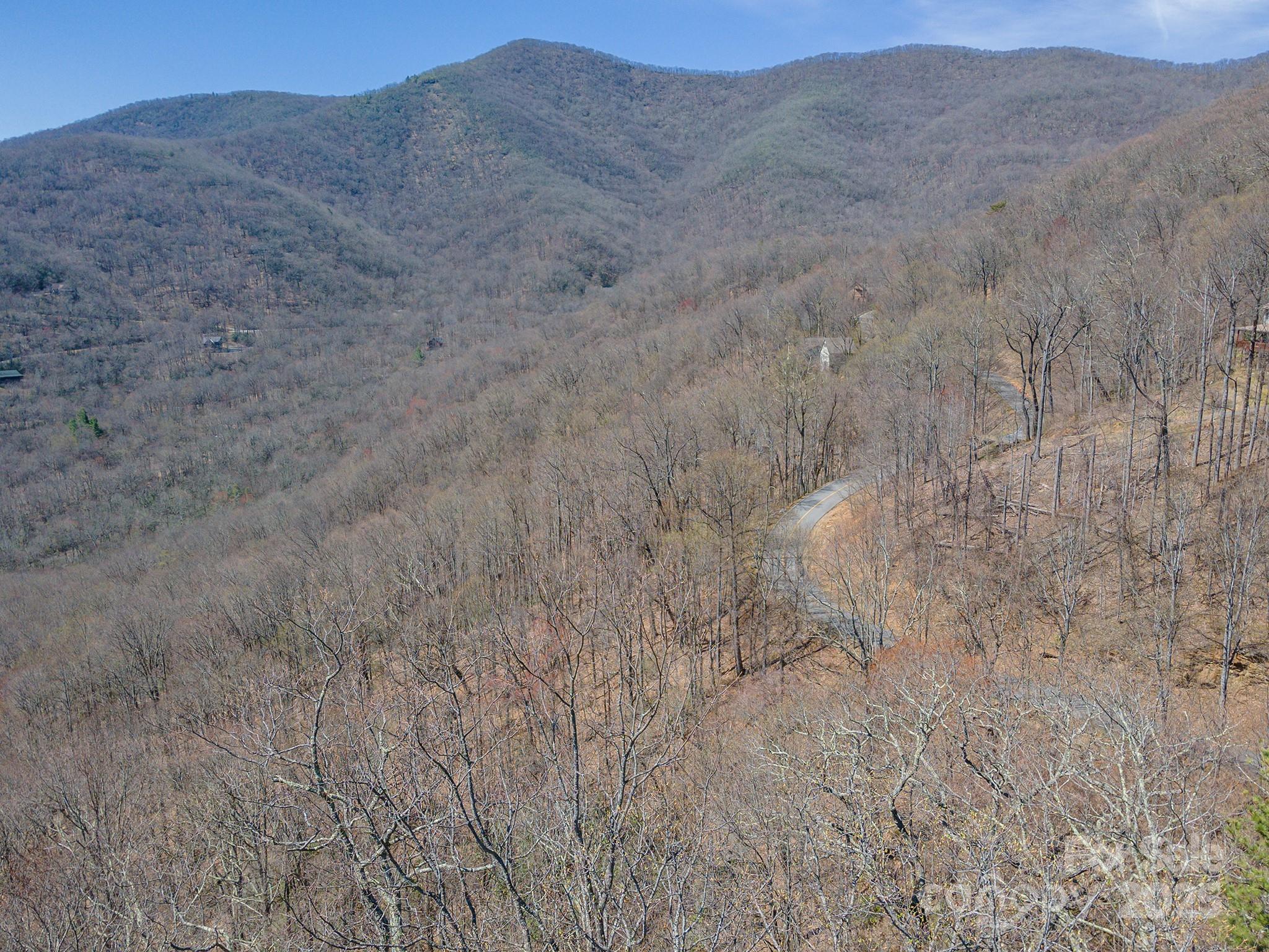 23 Winding Poplar Road, Unit 912 Black Mountain, NC 28711 - Photo 14 of 25