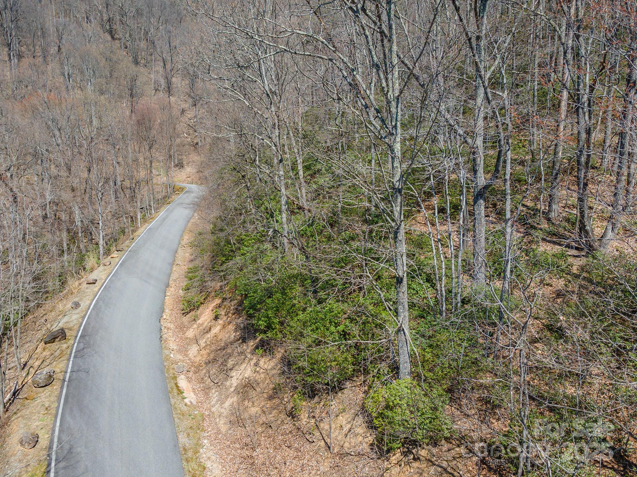 23 Winding Poplar Road, Unit 912 Black Mountain, NC 28711 - Photo 15 of 25