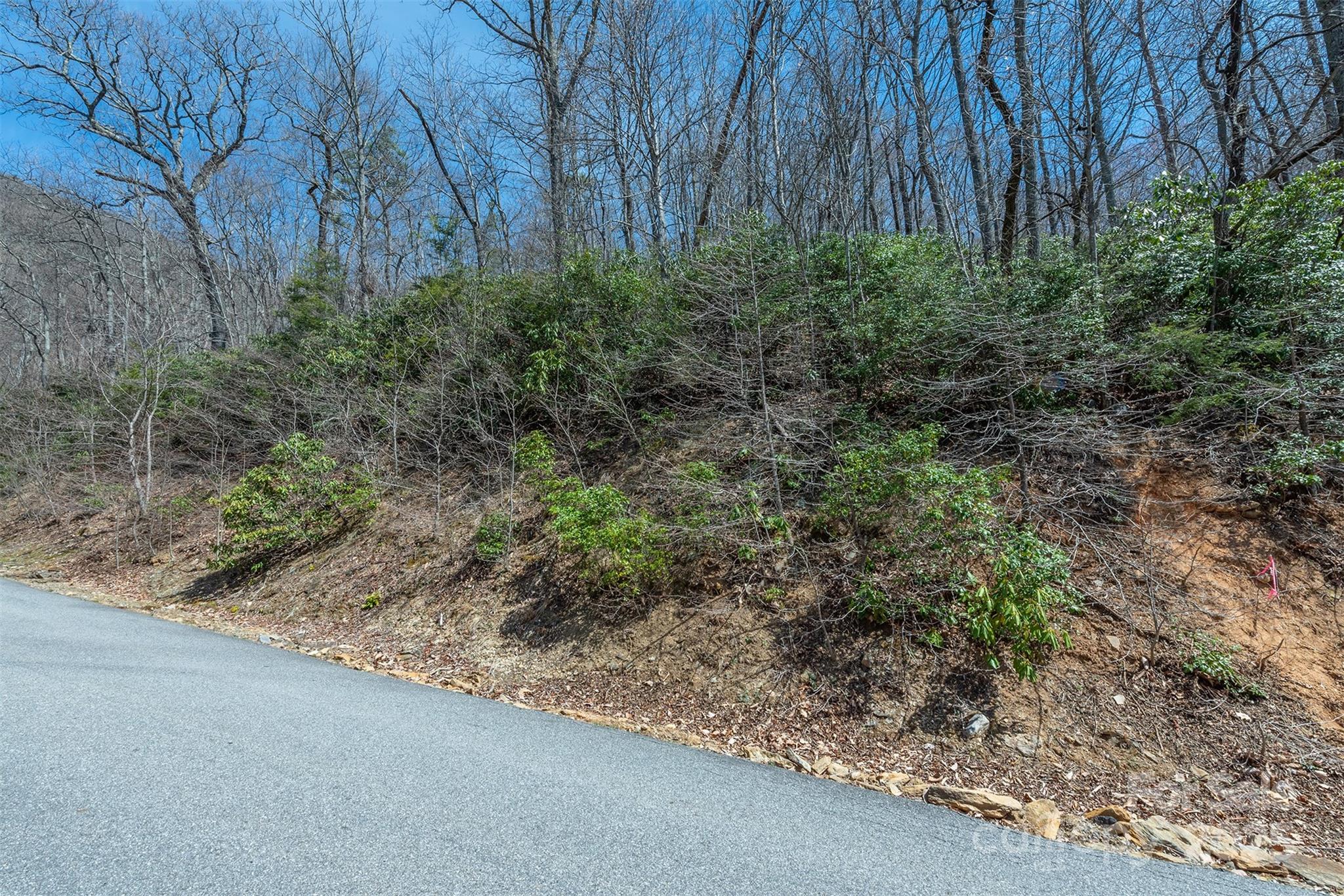 23 Winding Poplar Road, Unit 912 Black Mountain, NC 28711 - Photo 16 of 25