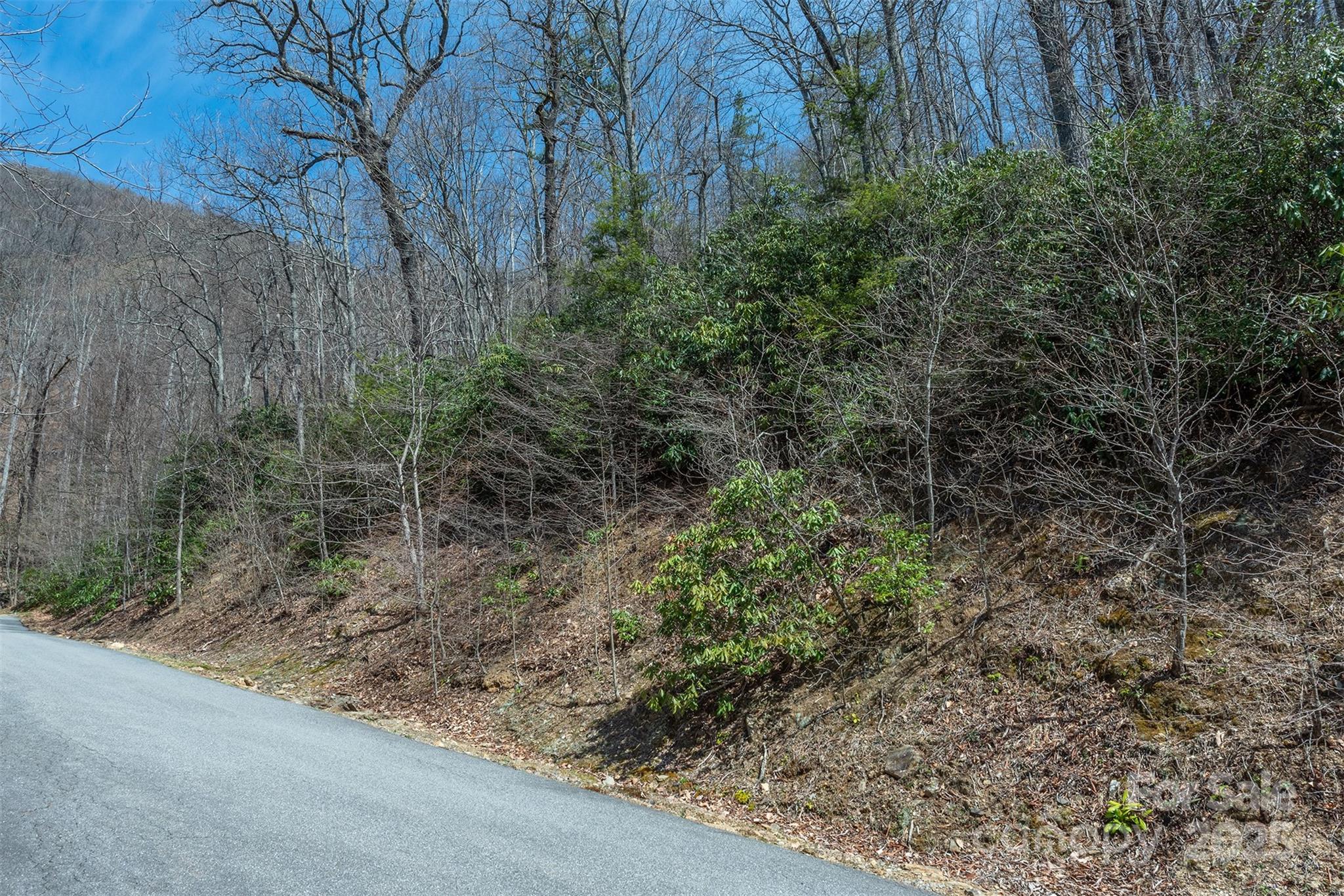 23 Winding Poplar Road, Unit 912 Black Mountain, NC 28711 - Photo 17 of 25