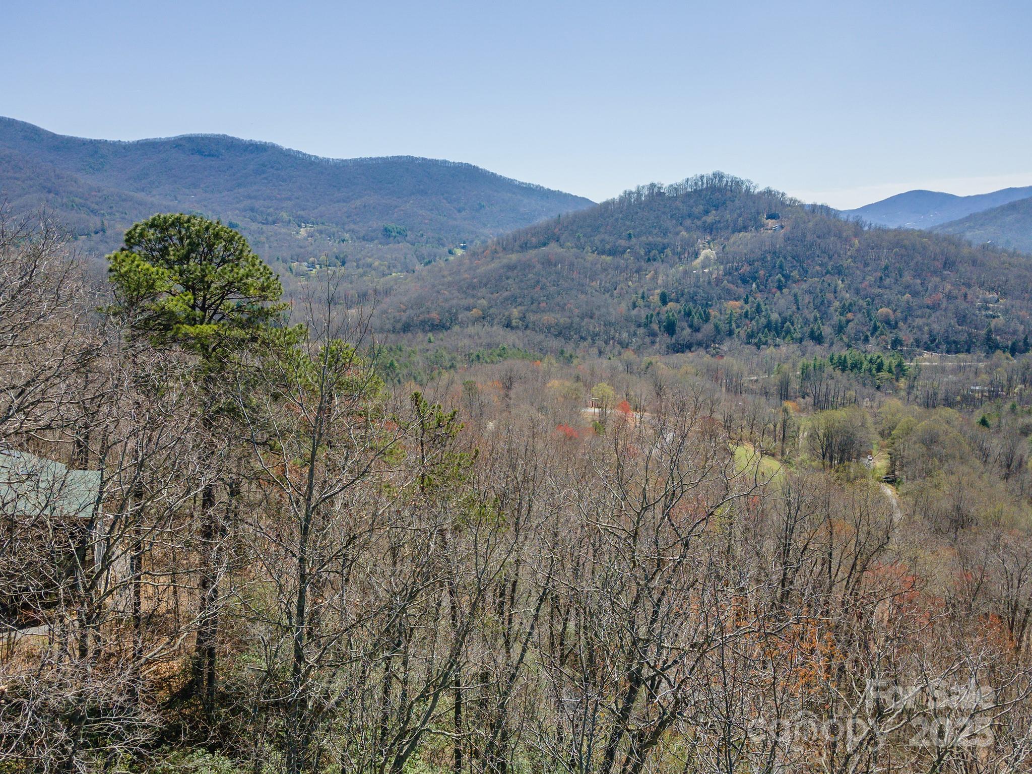 23 Winding Poplar Road, Unit 912 Black Mountain, NC 28711 - Photo 18 of 25