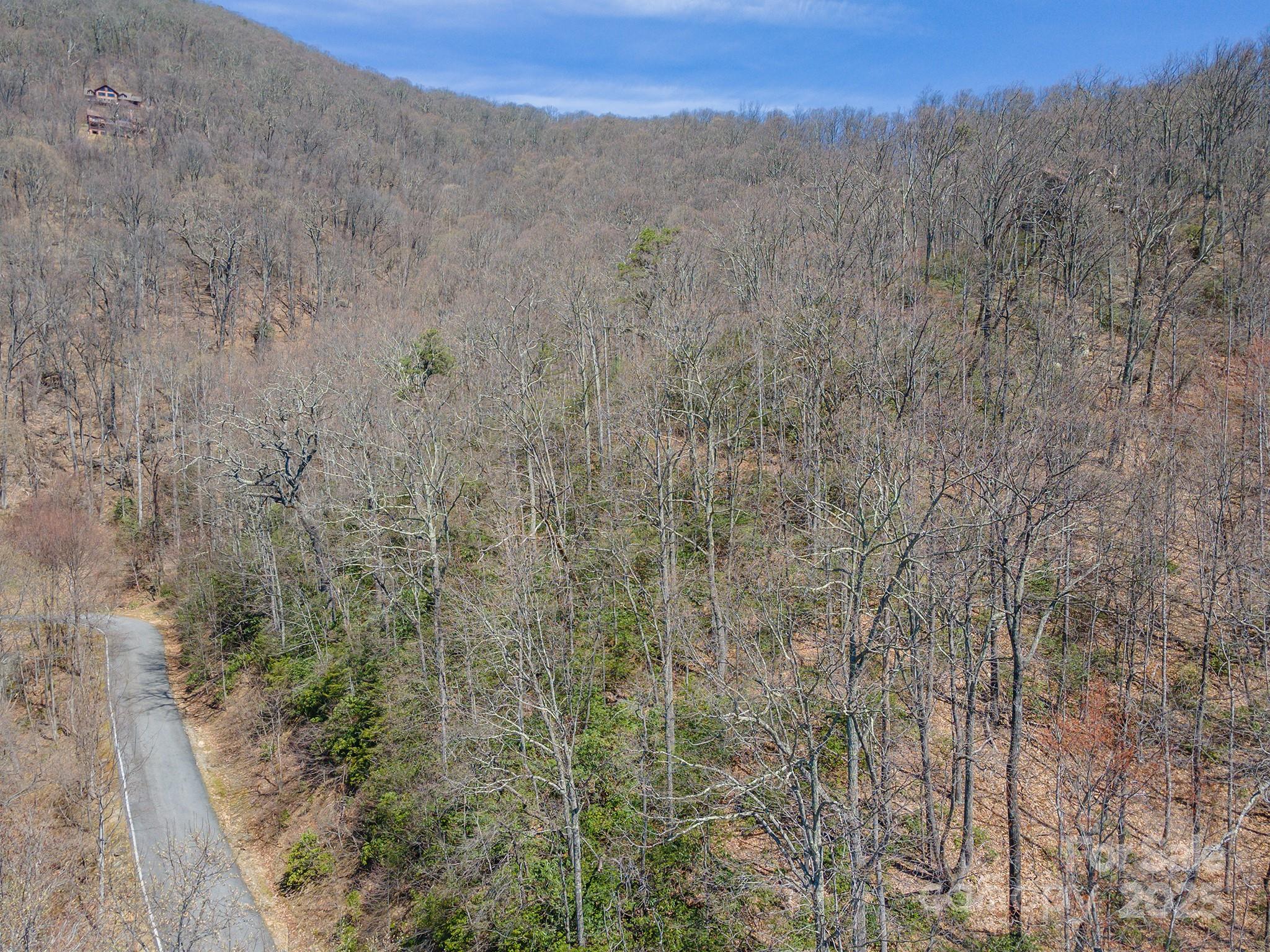 23 Winding Poplar Road, Unit 912 Black Mountain, NC 28711 - Photo 19 of 25