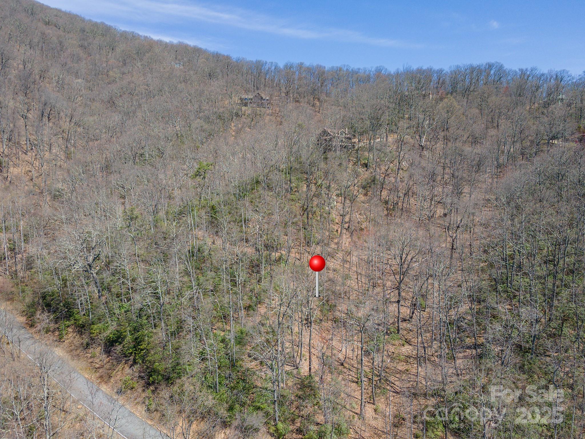 23 Winding Poplar Road, Unit 912 Black Mountain, NC 28711 - Photo 2 of 25