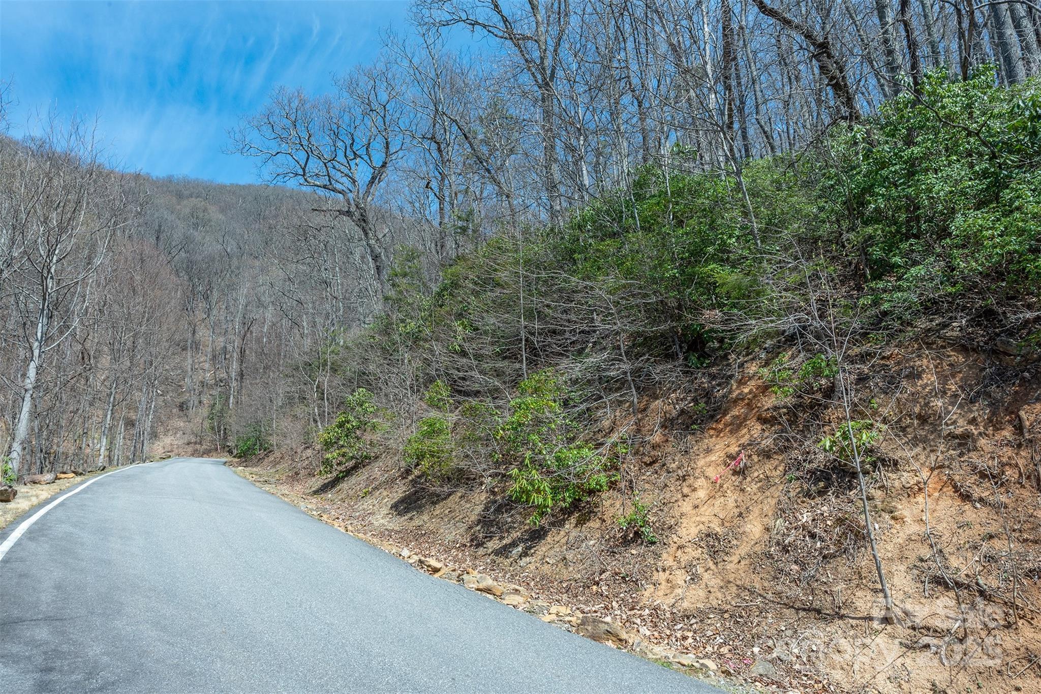 23 Winding Poplar Road, Unit 912 Black Mountain, NC 28711 - Photo 5 of 25