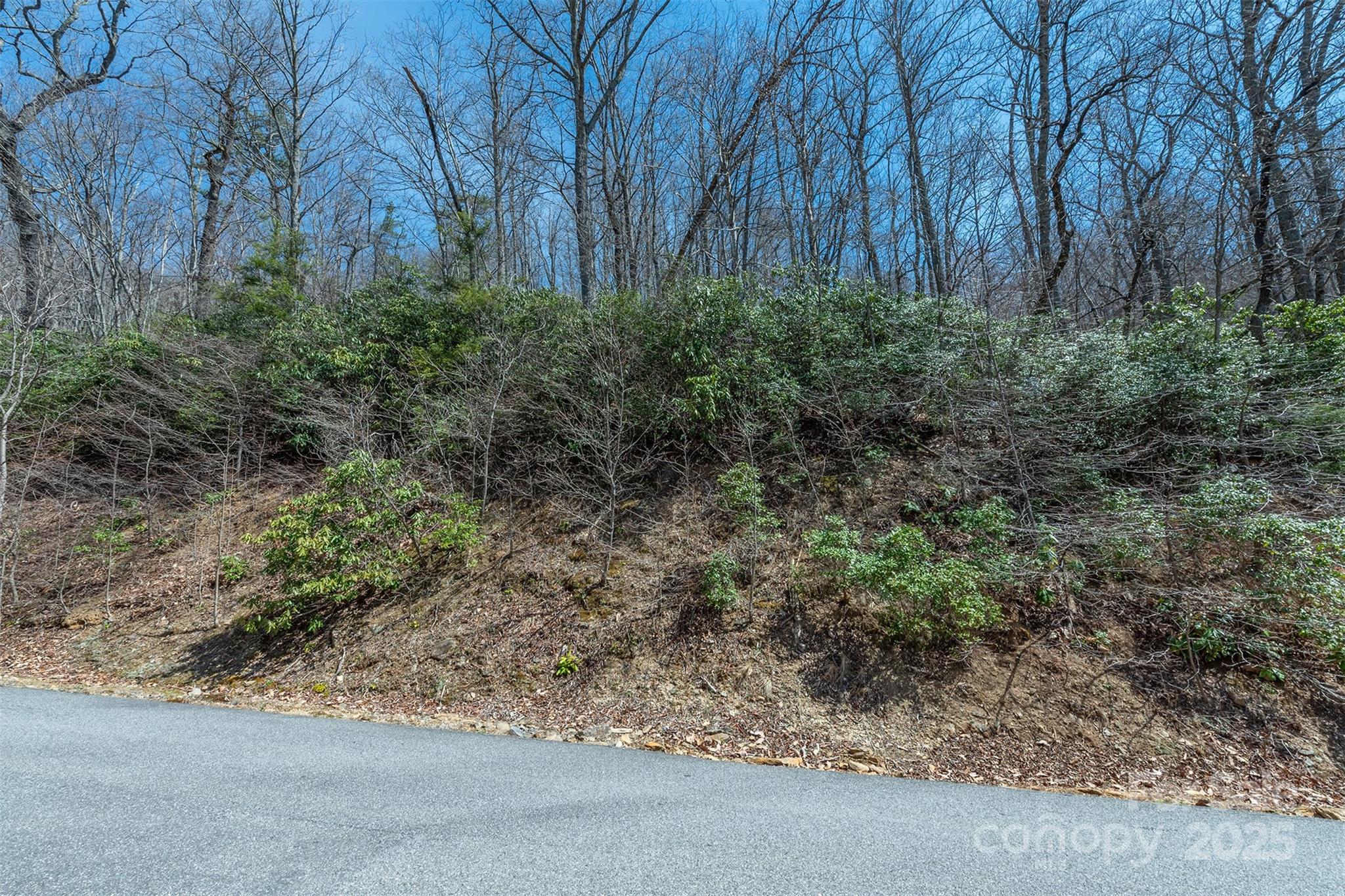 23 Winding Poplar Road, Unit 912 Black Mountain, NC 28711 - Photo 6 of 25