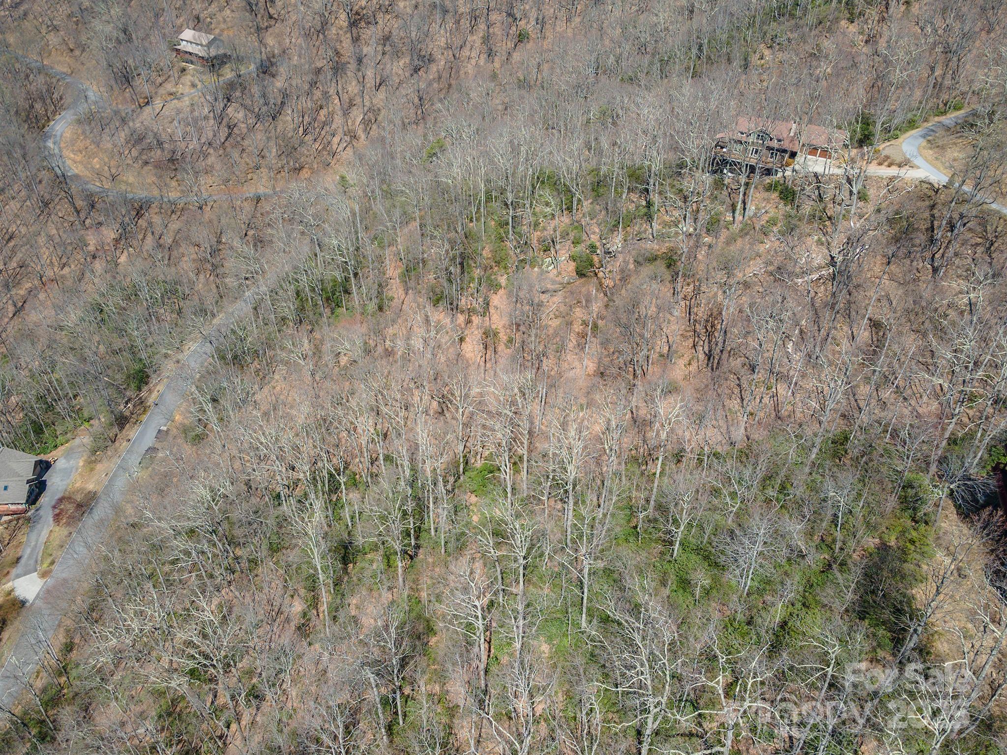 23 Winding Poplar Road, Unit 912 Black Mountain, NC 28711 - Photo 8 of 25