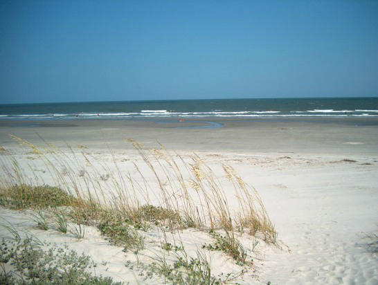 2284 Spring Hope Drive Mount Pleasant, SC 29466 - Photo 11 of 23 Beach