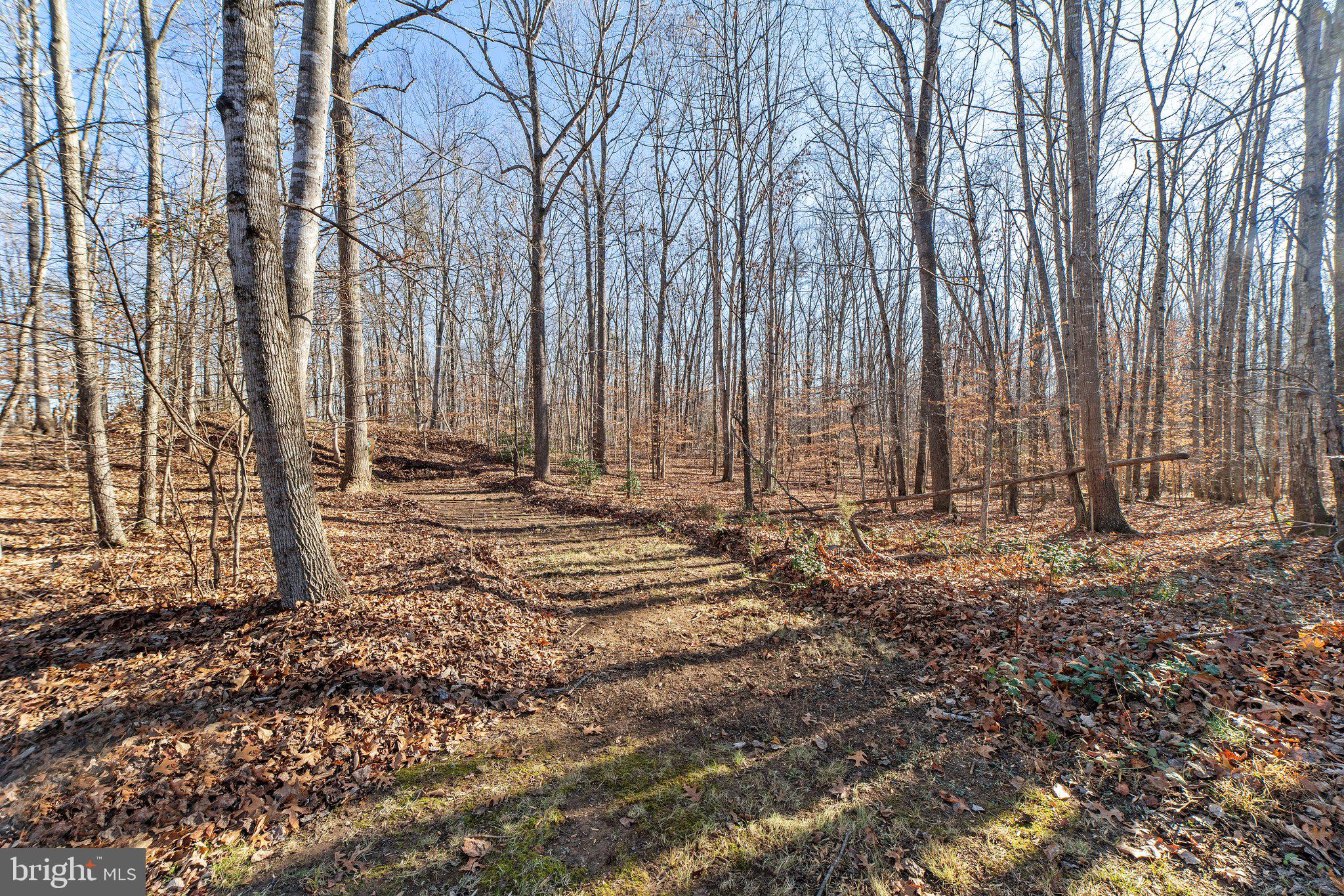 2227 Beaver Dam Road Midland, VA 22728 - Photo 67 of 71 Gallery Image 67