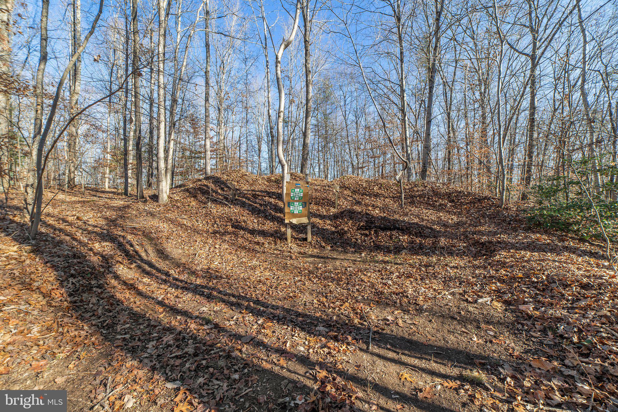 2227 Beaver Dam Road Midland, VA 22728 - Photo 68 of 71 Gallery Image 68
