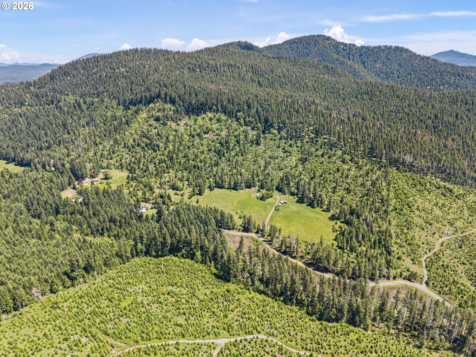 77521 Brock Road Oakridge, OR 97463 - Photo 37 of 48 a view of a lush green hillside and a houses