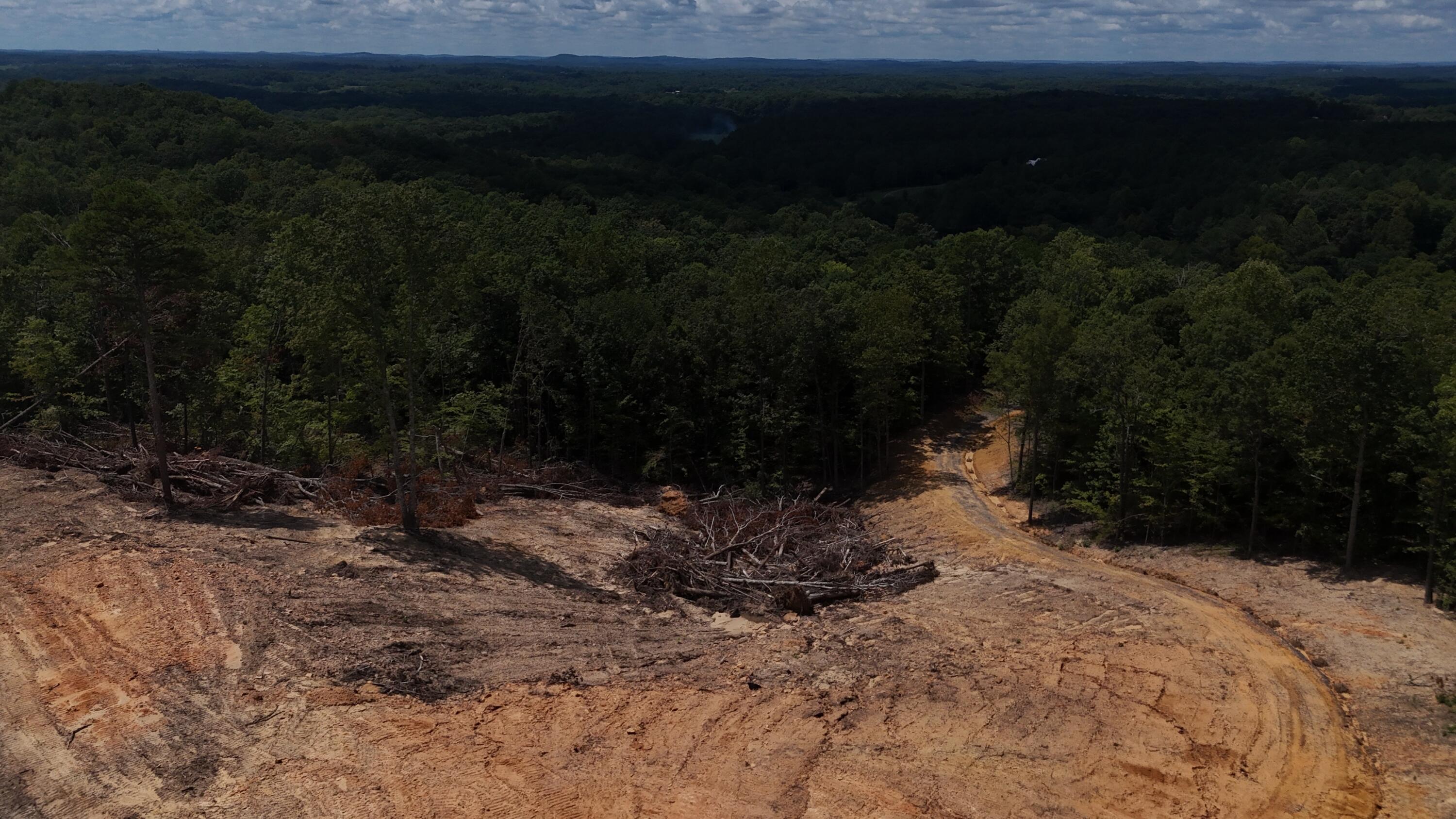 1250 Welcome Valley Road Benton, TN 37307 - Photo 19 of 42 dji_fly_20250806_140400_0238_17545043653