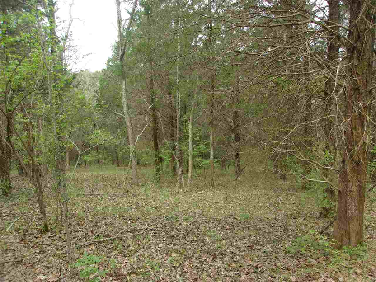 2473 Salem Ridge Road Brooksville, KY 41004 - Photo 22 of 48 Gallery Image 22