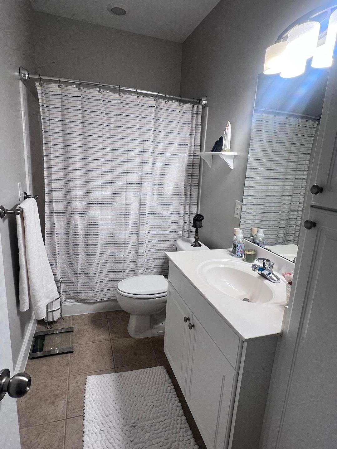 655 Highpark Lane Raleigh, NC 27608 - Photo 10 of 12 a bathroom with a sink a toilet a mirror and shower curtain