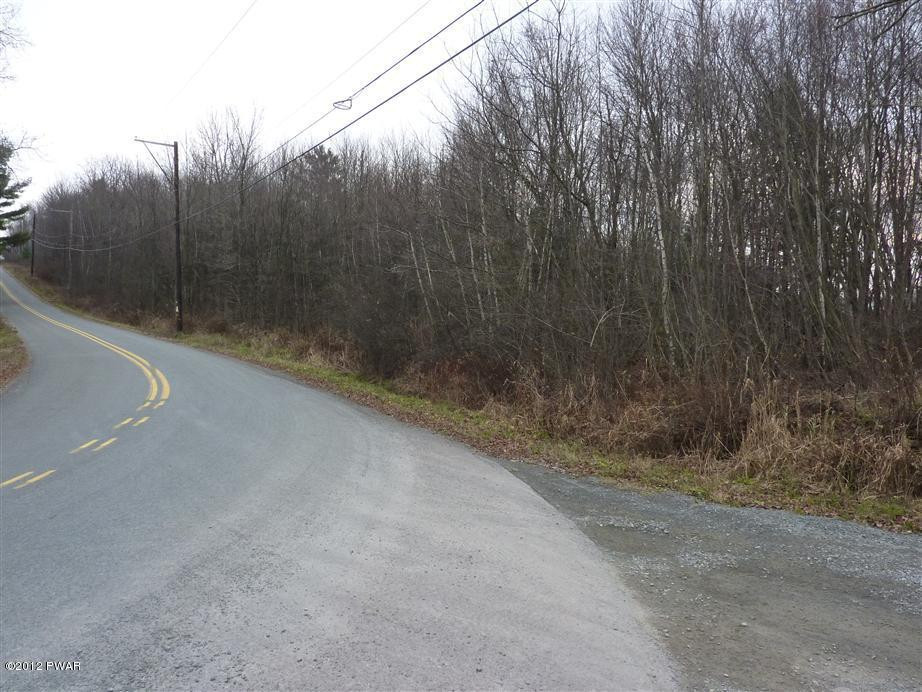 Layton Road Waymart, PA 18472 - Photo 3 of 10