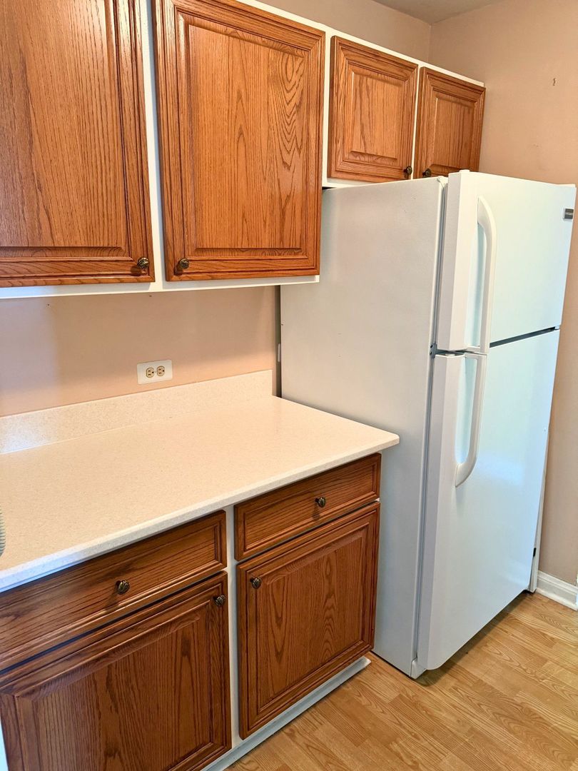33 North Main Street, Unit 9F Lombard, IL 60148 - Photo 11 of 21