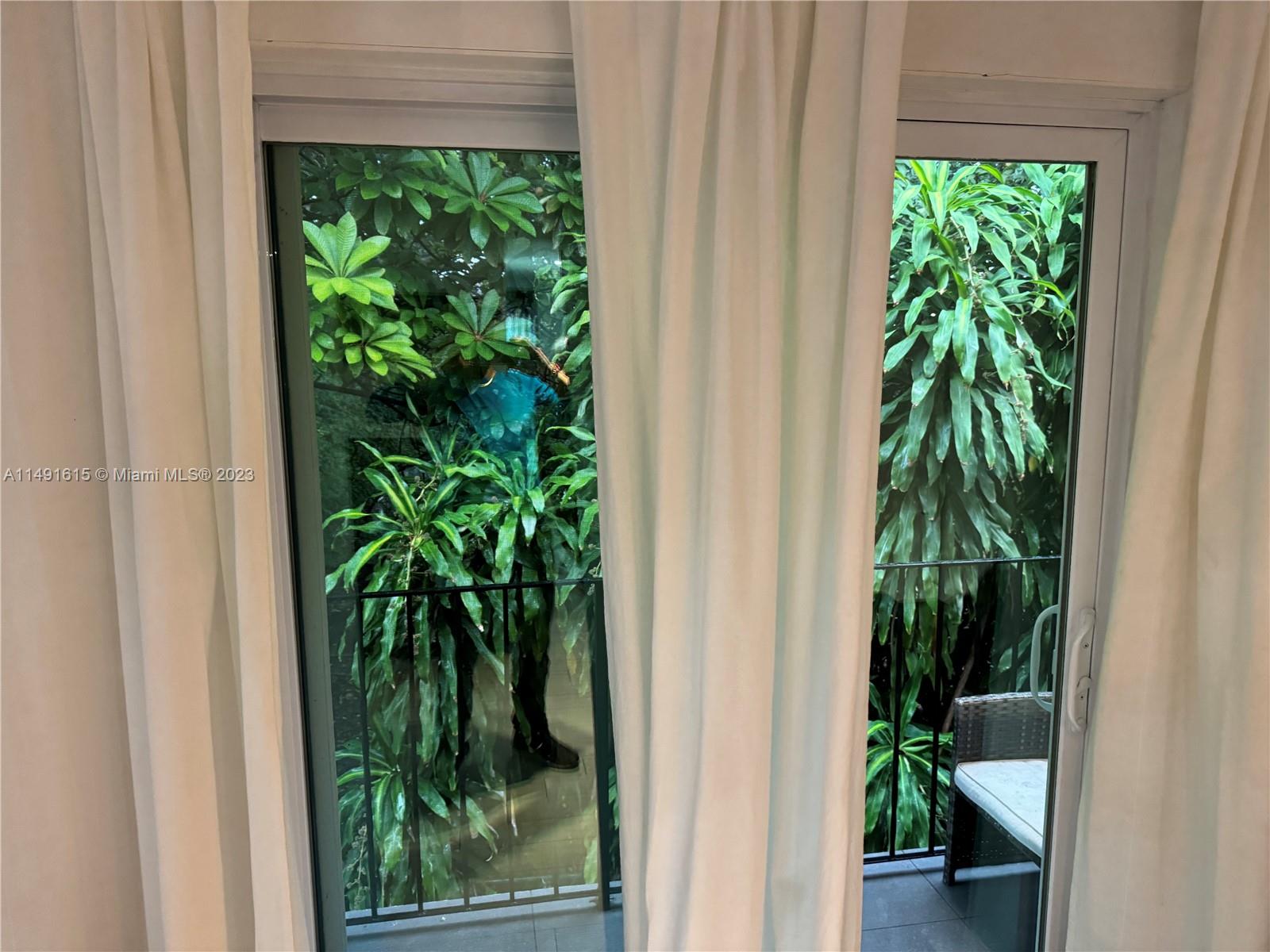 427 Southwest 7th Street, Unit 15 Miami, FL 33130 - Photo 19 of 25 a view of a potted plant in front of a door