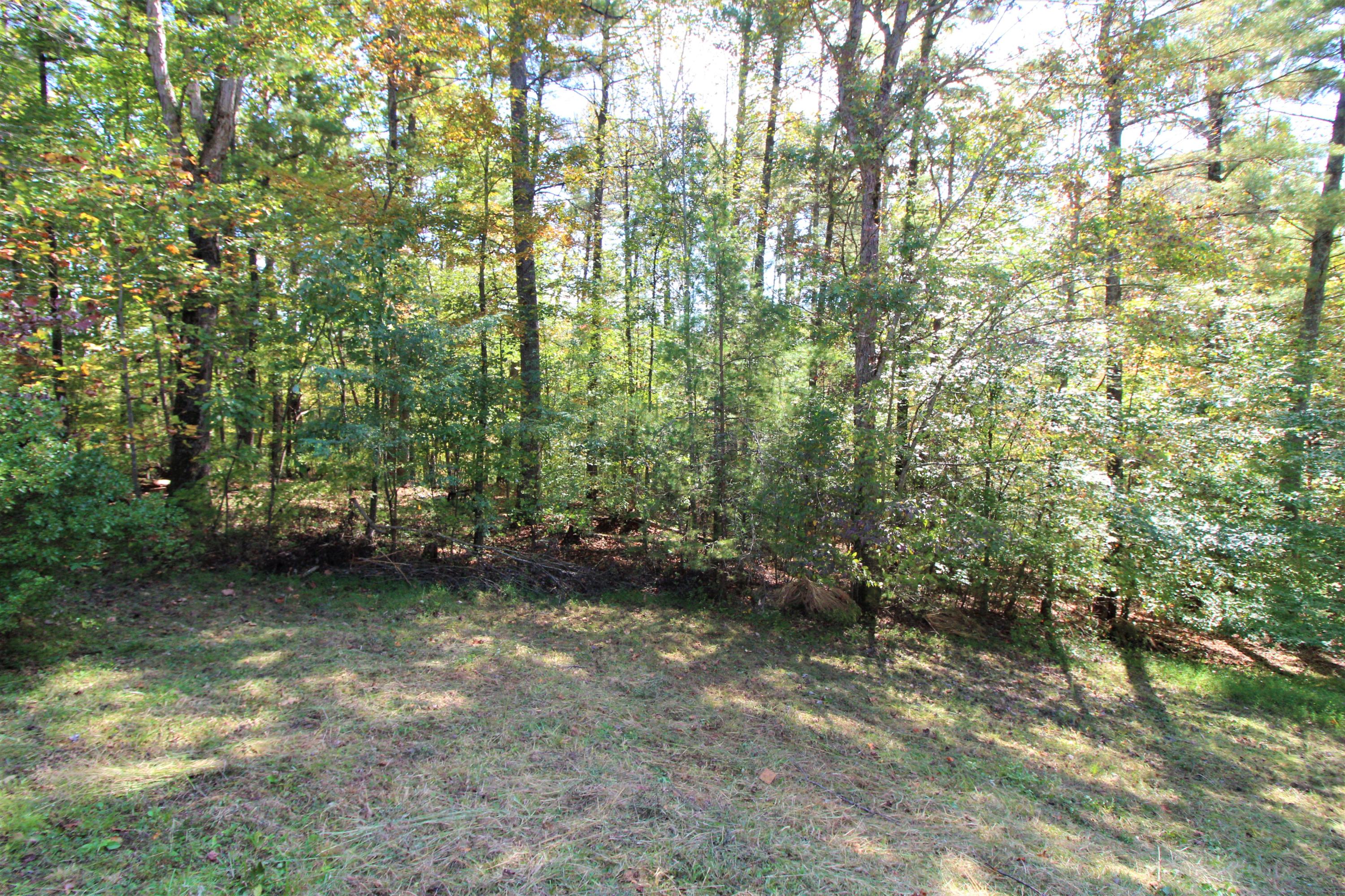 222 Mt Airy Road Hardy, VA 24101 - Photo 16 of 87 16