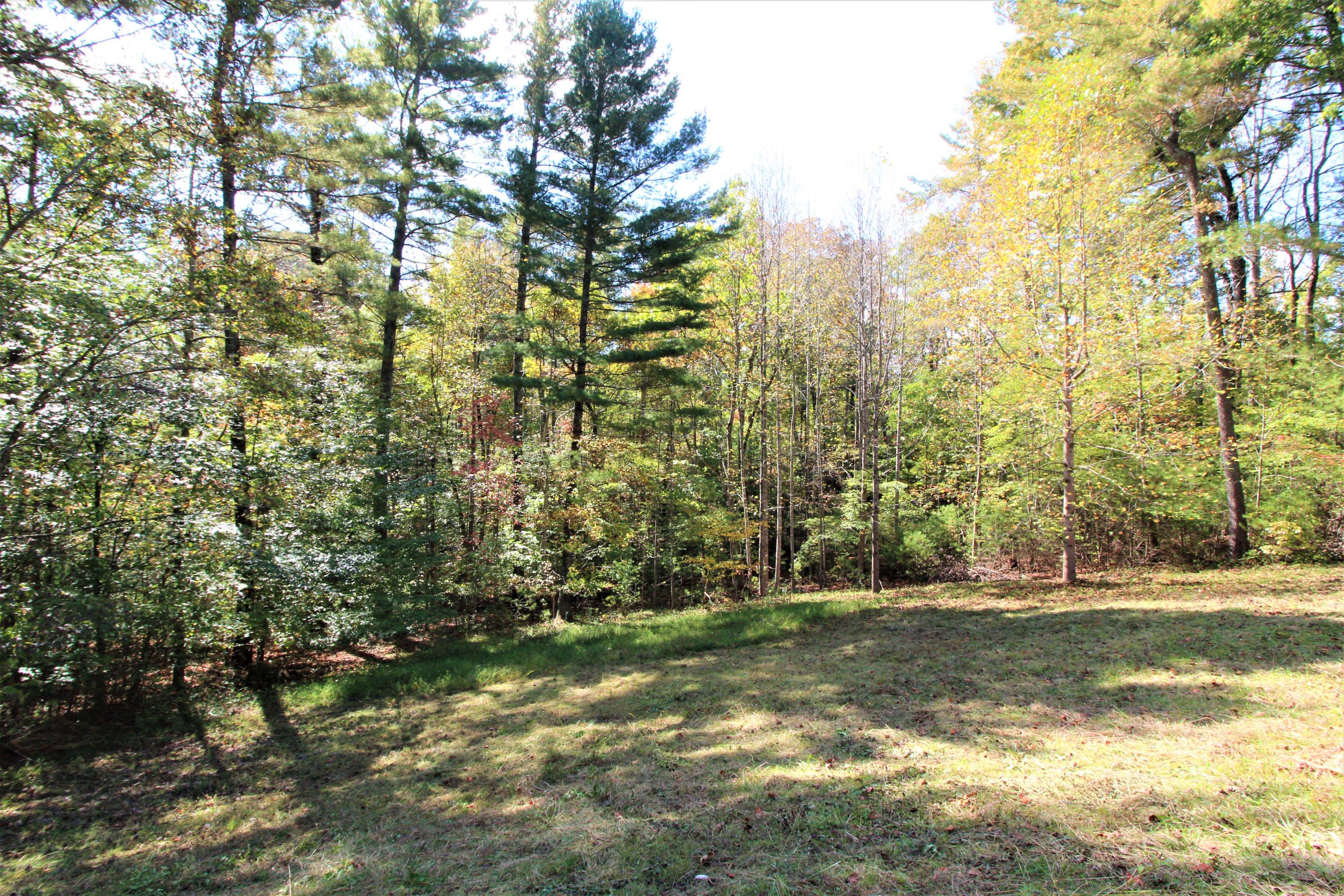 222 Mt Airy Road Hardy, VA 24101 - Photo 17 of 87 17