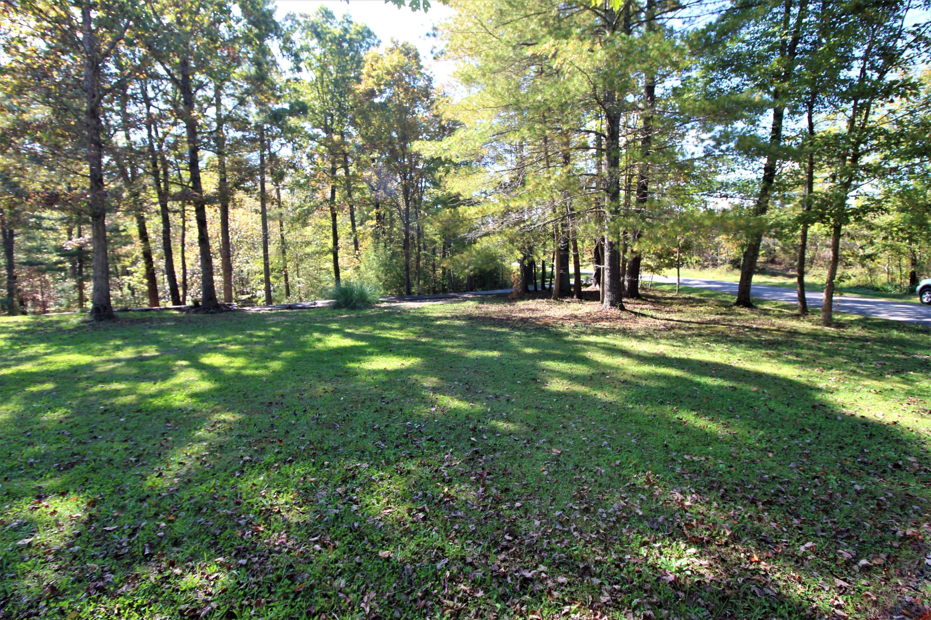 222 Mt Airy Road Hardy, VA 24101 - Photo 7 of 87 7