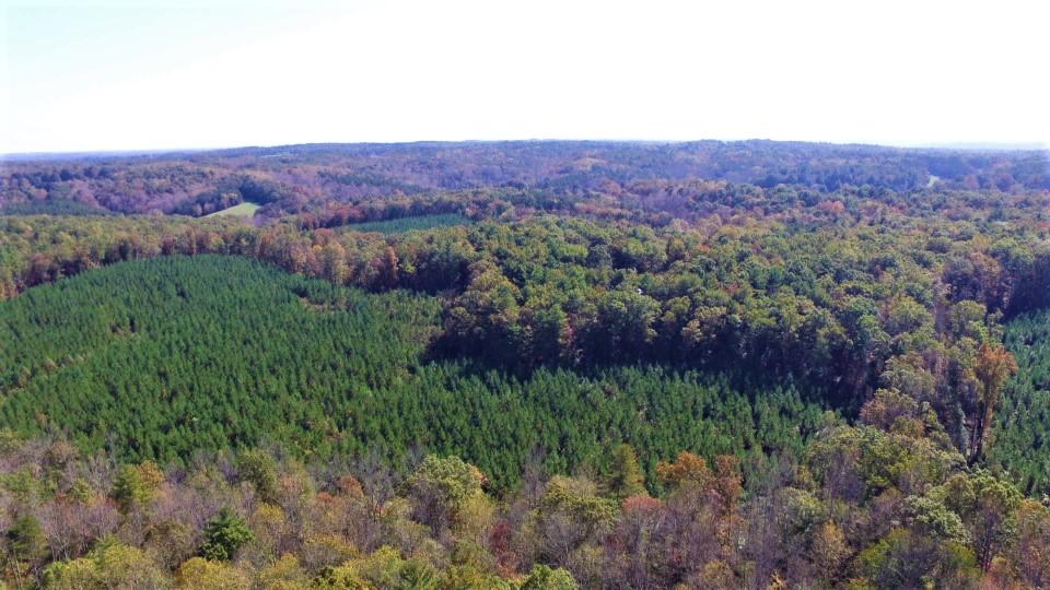 222 Mt Airy Road Hardy, VA 24101 - Photo 80 of 87 DJI_0105