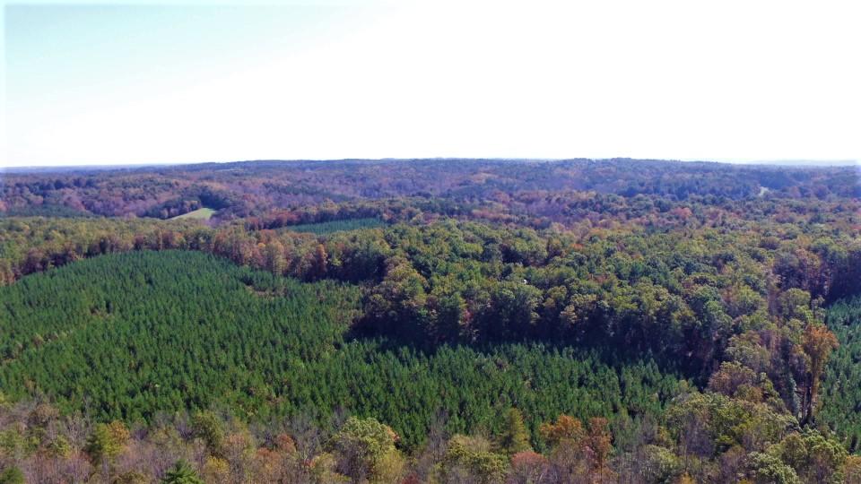 222 Mt Airy Road Hardy, VA 24101 - Photo 81 of 87 DJI_0106