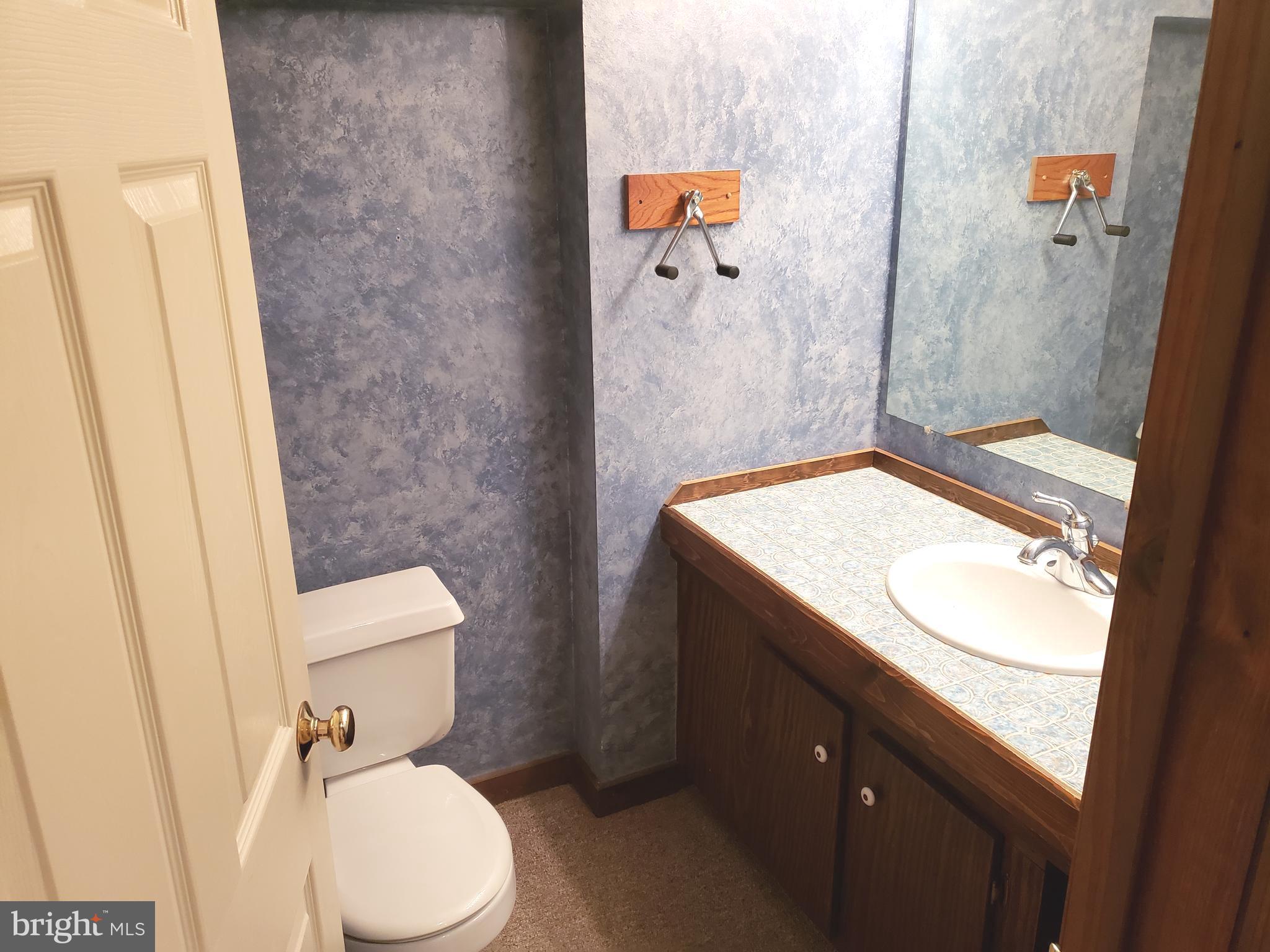 450 Church Lane Road Reading, PA 19606 - Photo 14 of 16 Basement entertaining area half bath