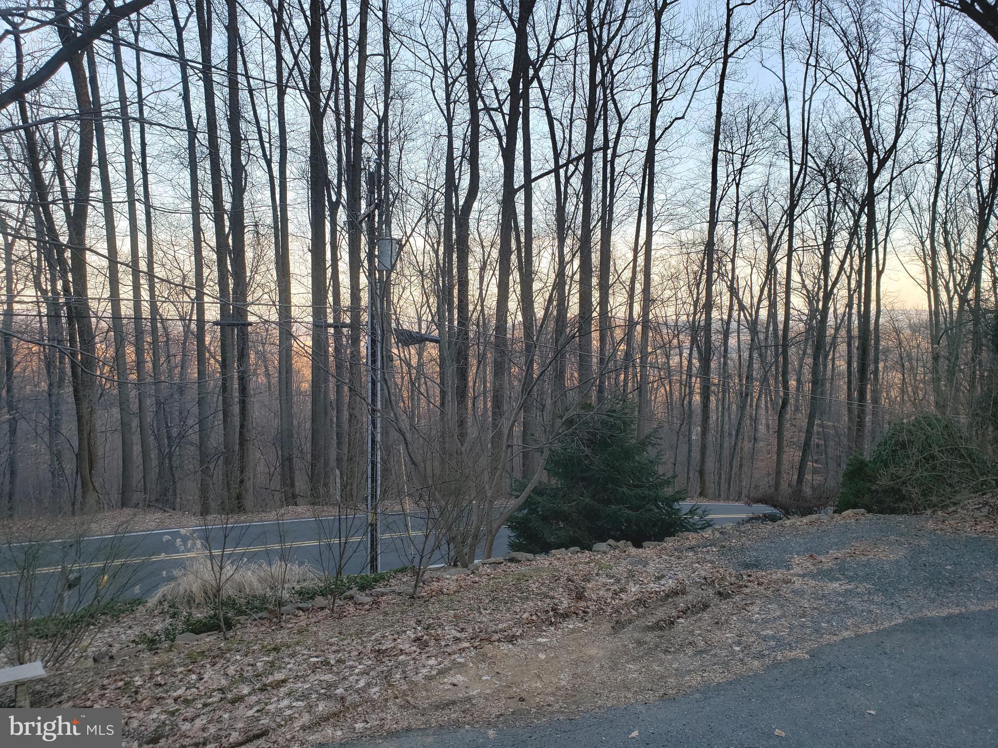 450 Church Lane Road Reading, PA 19606 - Photo 3 of 16 Great front door view ovelooks woods and valley