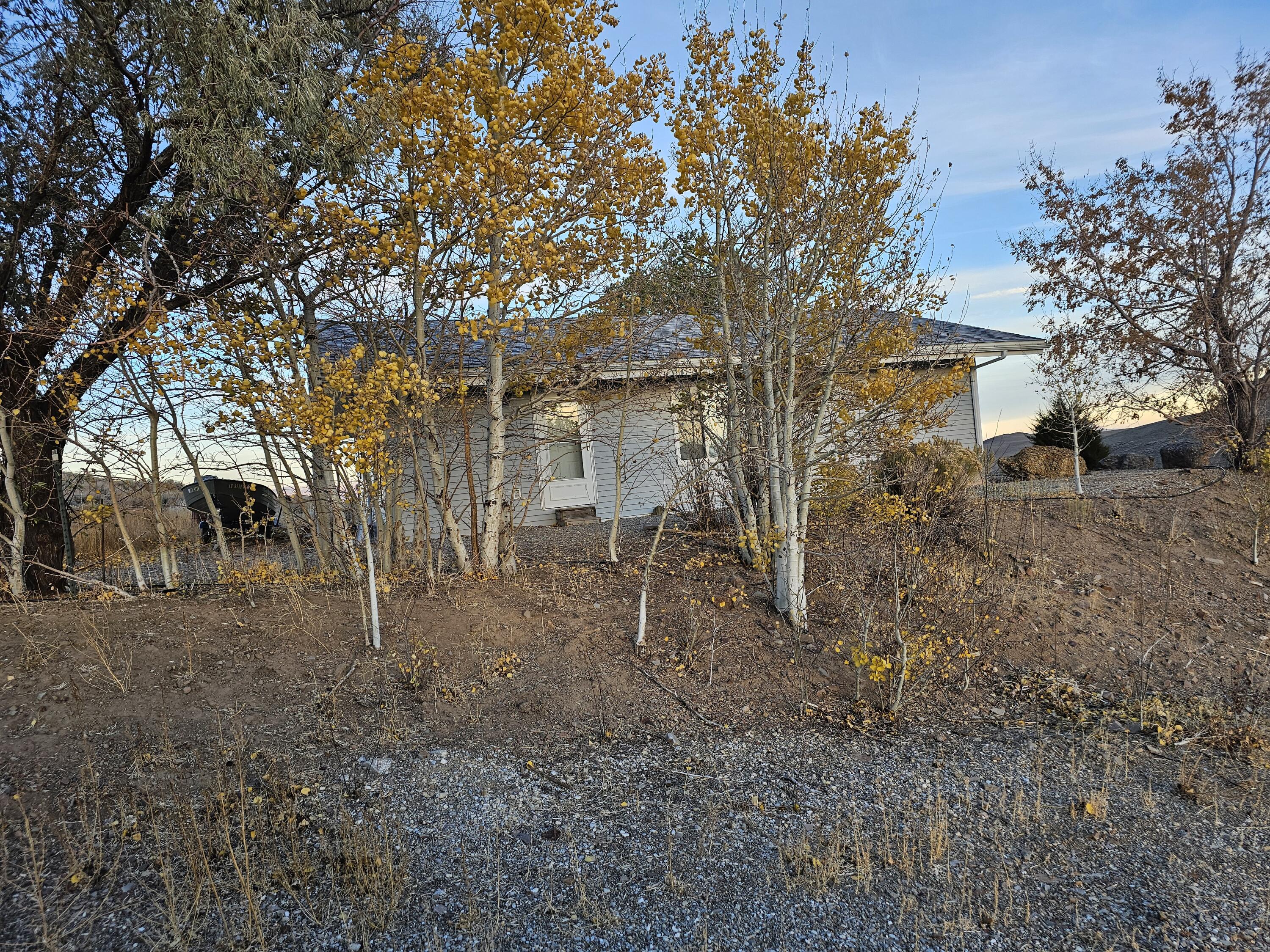1981 Blizzard Mountain Road Moore, ID 83255 - Photo 24 of 41 20251102_170407