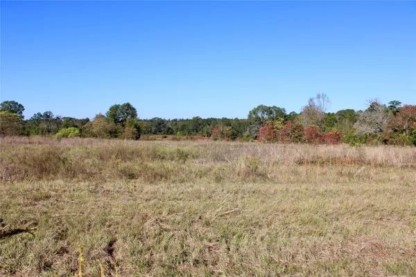 $350,000 | Tbd Winfrey Road, Coldspring, TX 77331