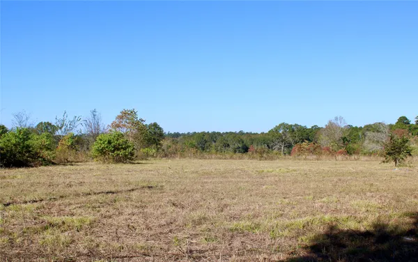 $350,000 | Tbd Winfrey Road, Coldspring, TX 77331