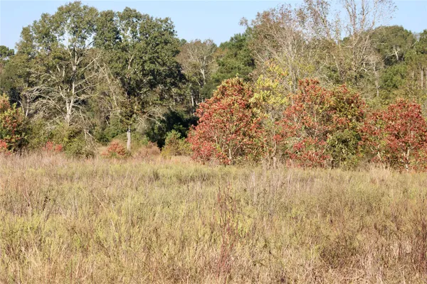 $350,000 | Tbd Winfrey Road, Coldspring, TX 77331