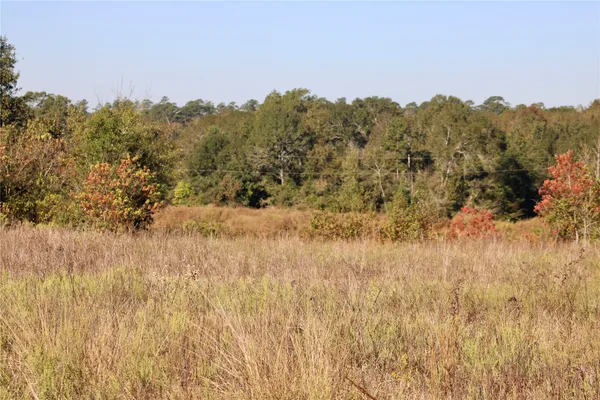 $350,000 | Tbd Winfrey Road, Coldspring, TX 77331